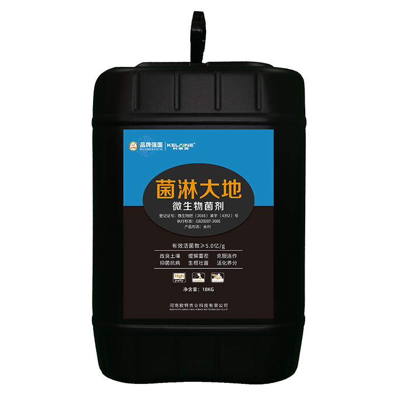 菌淋大地