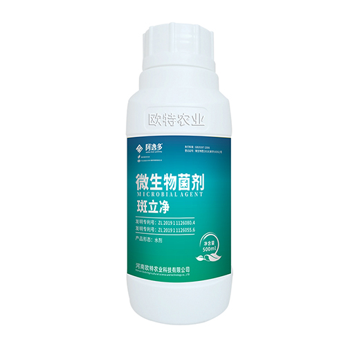 斑立净