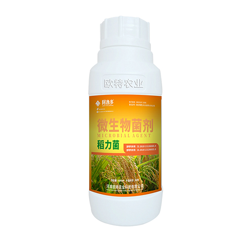 稻力菌