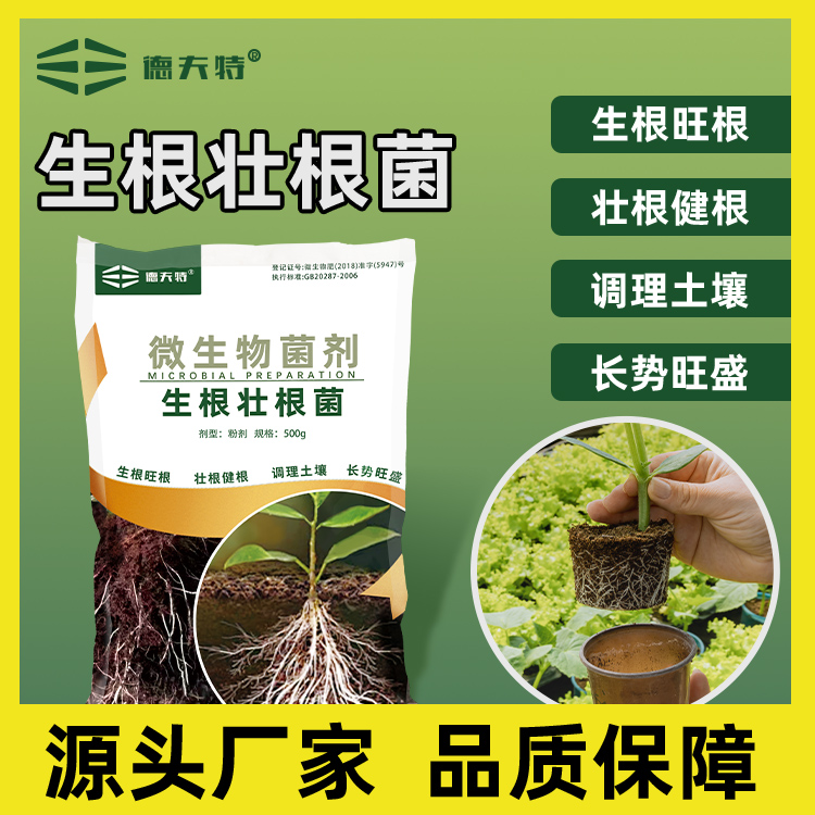 德夫特生根壮根菌