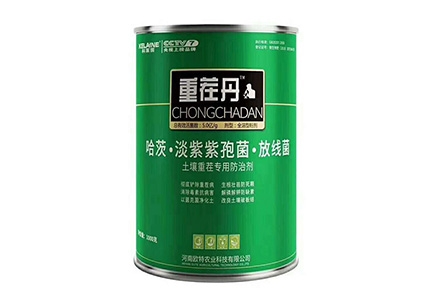 河北重茬丹1kg