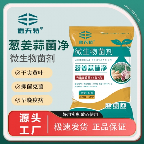 德夫特葱姜蒜菌净