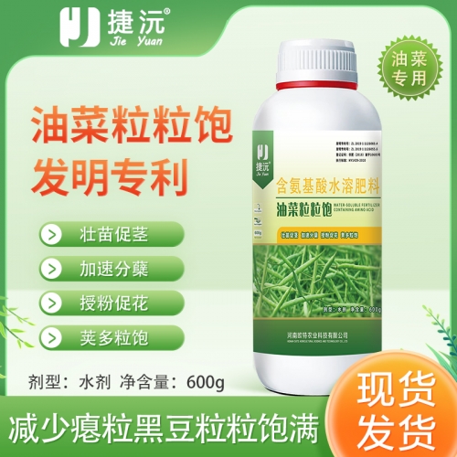 甘肃捷沅油菜粒粒饱
