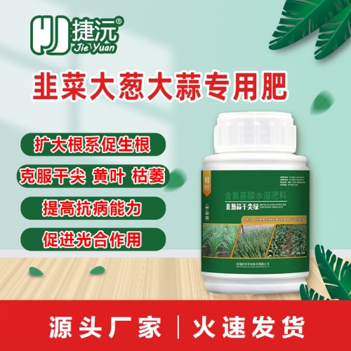 甘肃捷沅韭葱蒜