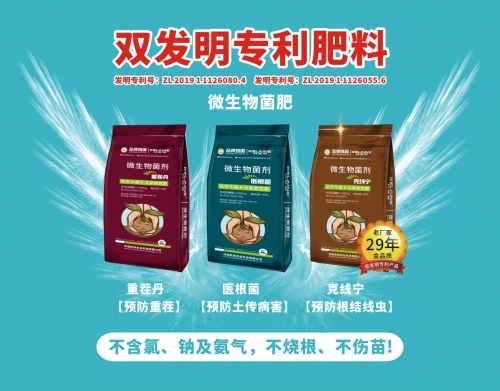 不烧根,不伤苗 , 菌肥