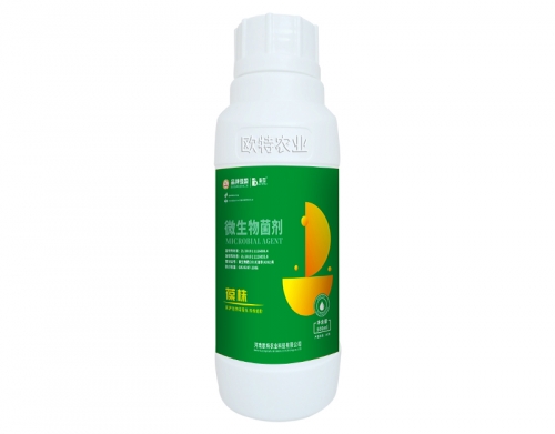 微生物菌剂葆株