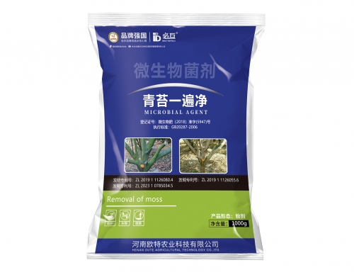 湖南青苔一遍净