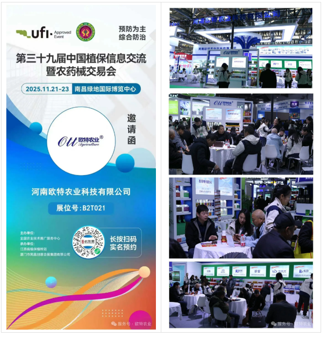 1765509136381965.png dhsdjs.png